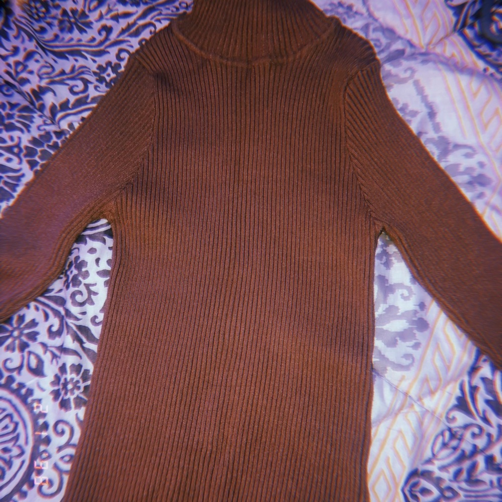 Brown turtleneck
